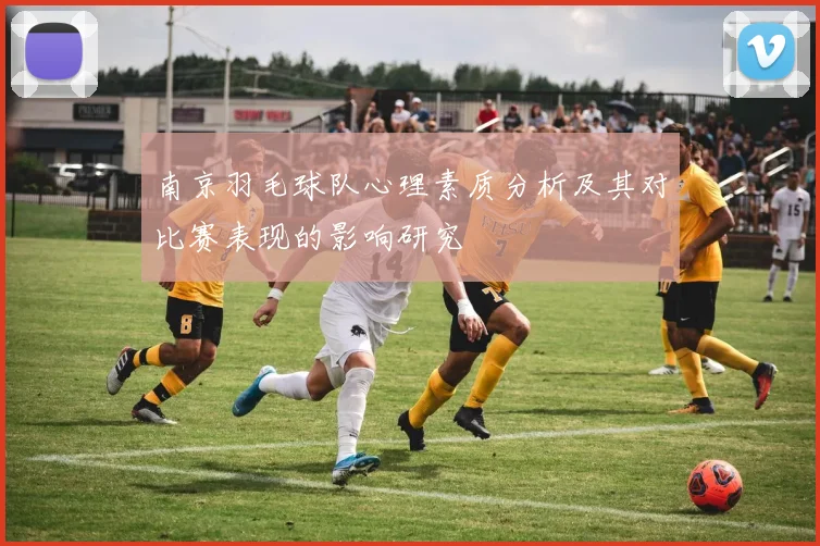 南京羽毛球队心理素质分析及其对比赛表现的影响研究