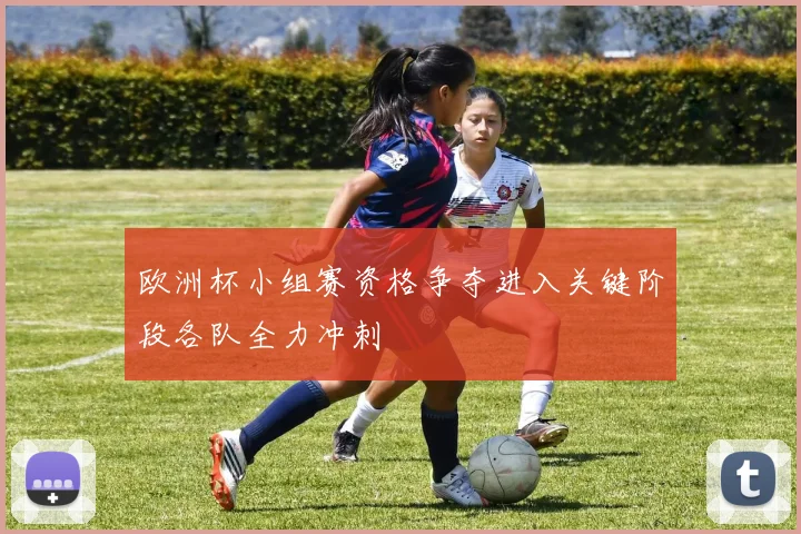 欧洲杯小组赛资格争夺进入关键阶段各队全力冲刺