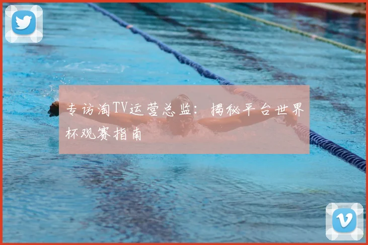 专访淘TV运营总监:揭秘平台世界杯观赛指南