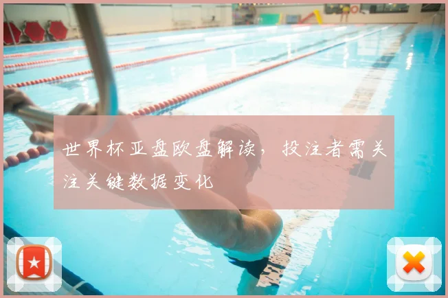 世界杯亚盘欧盘解读，投注者需关注关键数据变化