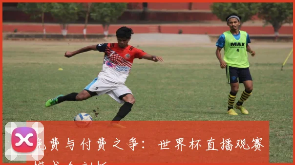 免费与付费之争：世界杯直播观赛模式全剖析
