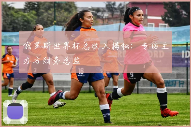 俄罗斯世界杯总收入揭秘:专访主办方财务总监