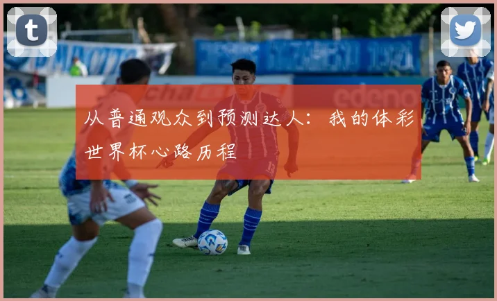 从普通观众到预测达人：我的体彩世界杯心路历程
