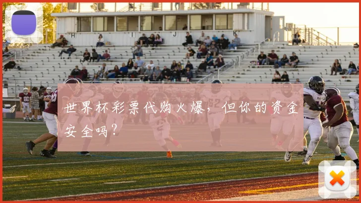 世界杯彩票代购火爆,但你的资金安全吗?