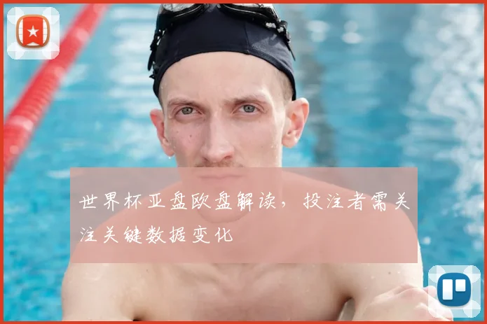 世界杯亚盘欧盘解读，投注者需关注关键数据变化