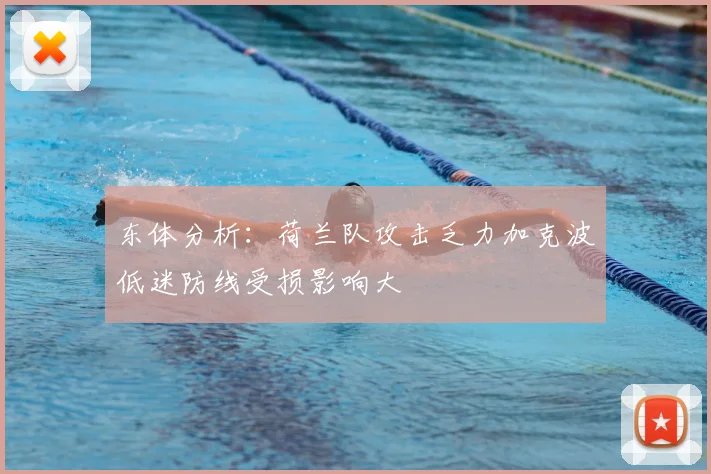 东体分析:荷兰队攻击乏力加克波低迷防线受损影响大